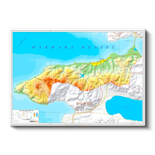 Yalova - Fiziki Haritası Kanvas Tablo