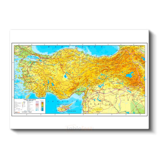 Türkiye - Fiziki Haritası Kanvas Tablo