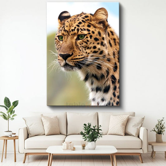 Leopar Portresi - Vahşi Bakış Kanvas Tablo