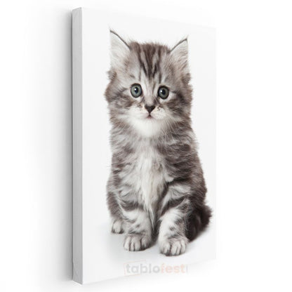 Yavru Kedi - Masum Tatlılık Kanvas Tablo
