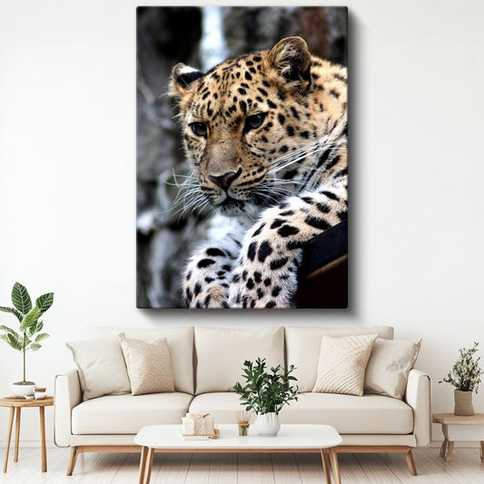 Leopar Portresi - Benekli Desenli Yırtıcı Kanvas Tablo