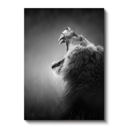 Kükreyen Aslan - Güç Simgesi Yırtıcı Kanvas Tablo