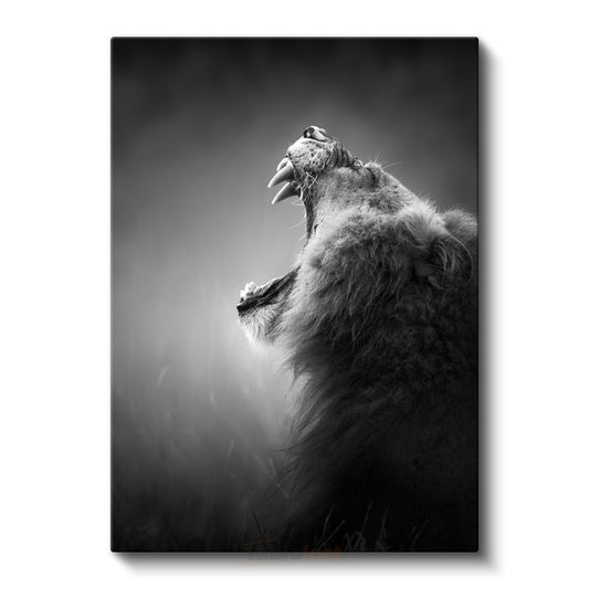 Kükreyen Aslan - Güç Simgesi Yırtıcı Kanvas Tablo