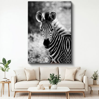 Zebra Portresi - Çizgili Desenli Afrika Güzeli Kanvas Tablo