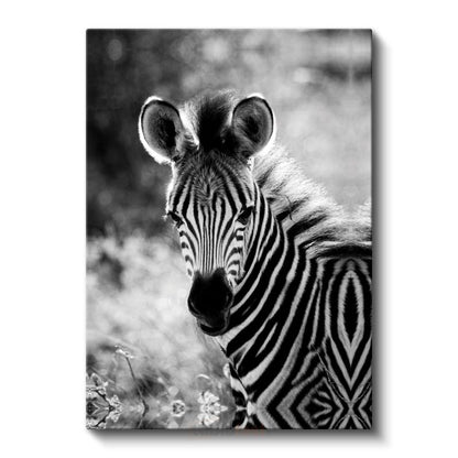Zebra Portresi - Çizgili Desenli Afrika Güzeli Kanvas Tablo