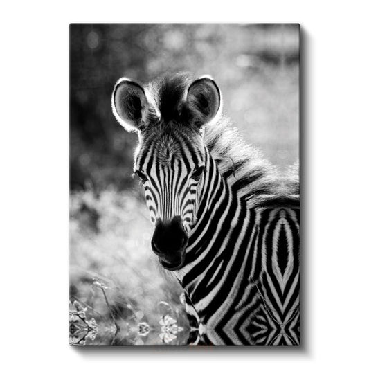 Zebra Portresi - Çizgili Desenli Afrika Güzeli Kanvas Tablo