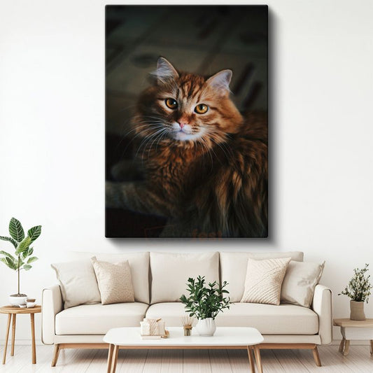 Kahverengi Kedi - Uzun Tüylü Bakışları Etkileyen Kanvas Tablo