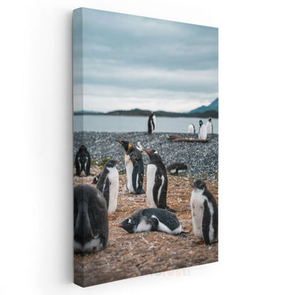 Penguen Kolonisi - Kıyıda Toplanan Siyah Beyaz Dostlar Kanvas Tablo