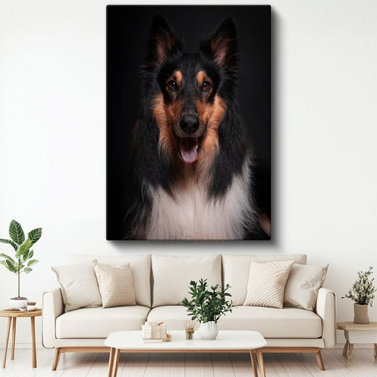 Collie Köpek - Siyah Zeminde Gülümseyen Sadık Dost Kanvas Tablo
