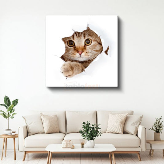 Meraklı Kedi - Kağıttan Bakan Sevimli Dostumuz Kanvas Tablo