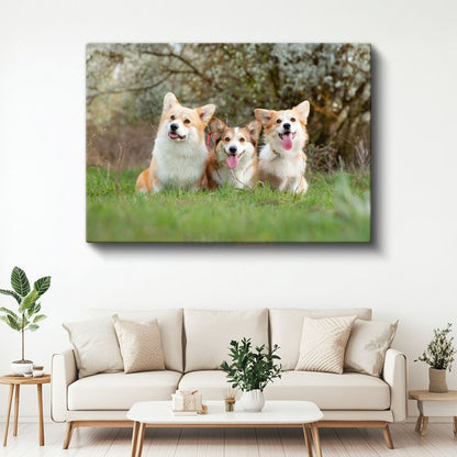 Corgi Üçlüsü - Çimenlerde Neşeli Dostlar Kanvas Tablo