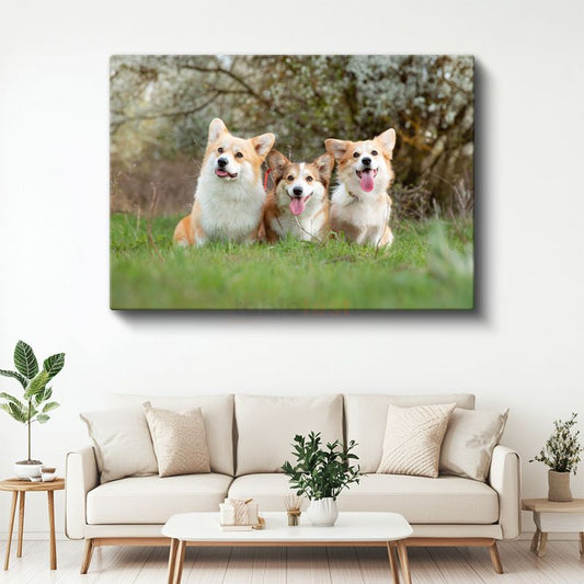 Corgi Üçlüsü - Çimenlerde Neşeli Dostlar Kanvas Tablo