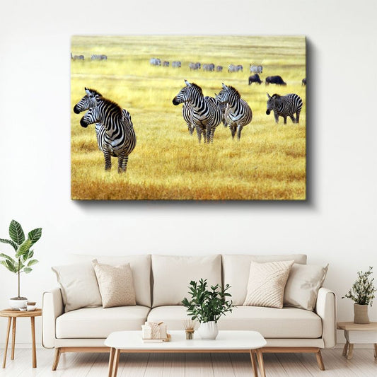Zebra Sürüsü - Altın Sarısı Çayırlarda Afrika Vahşi Yaşamı Kanvas Tablo