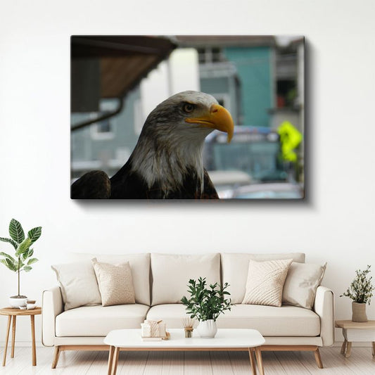 Amerikan Kartalı - Keskin Bakışlı Yırtıcı Kuş Kanvas Tablo
