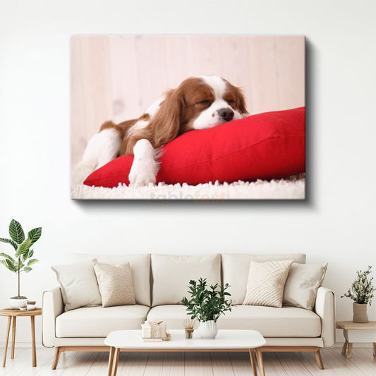 Uykucu Köpek - Kırmızı Yastıkta Huzurlu Cavalier Spaniel Kanvas Tablo