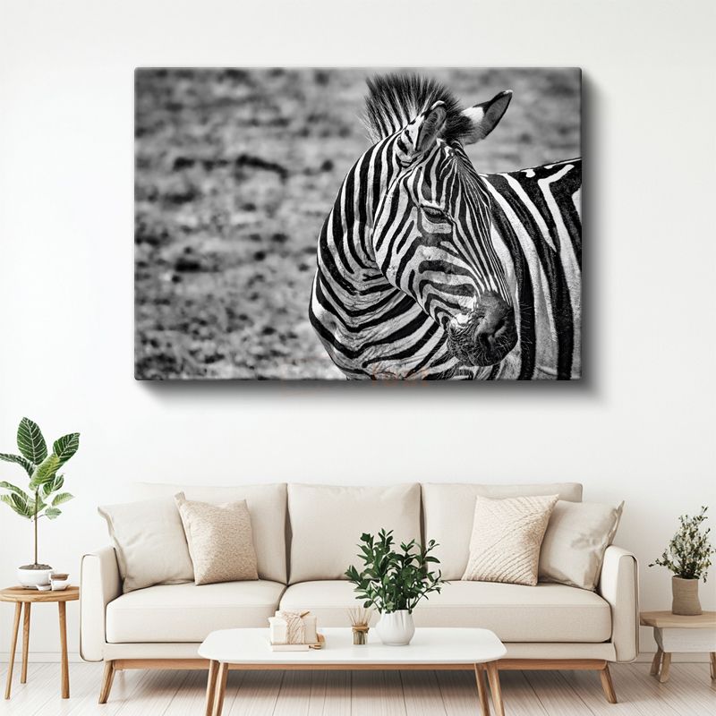 Zebra Profili - Siyah Beyaz Çizgili Portre Kanvas Tablo