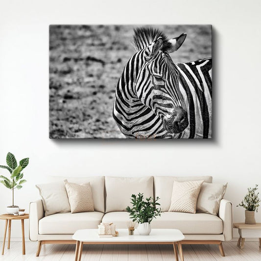 Zebra Profili - Siyah Beyaz Çizgili Portre Kanvas Tablo