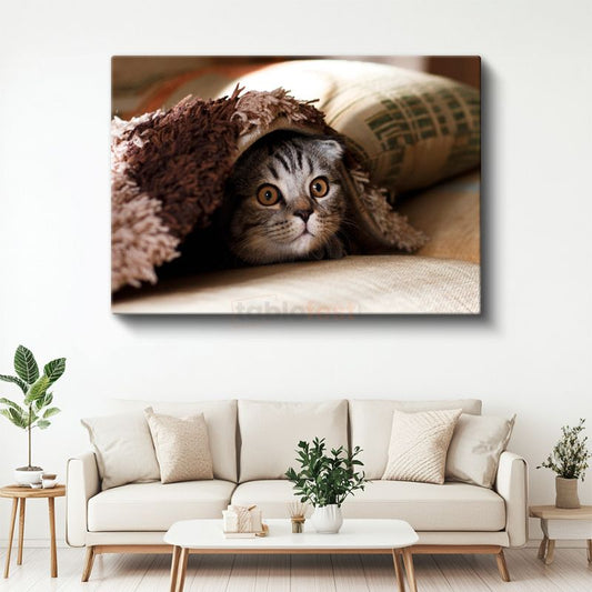Meraklı Bakış - Battaniye Altındaki Kedi Yavrusu Kanvas Tablo