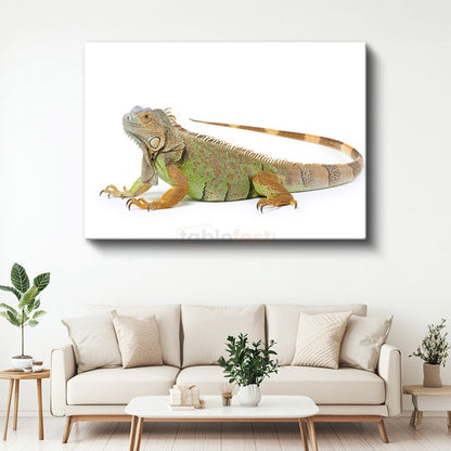 Yeşil İguana - Detaylı Sürüngen Portresi Kanvas Tablo