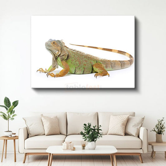 Yeşil İguana - Detaylı Sürüngen Portresi Kanvas Tablo