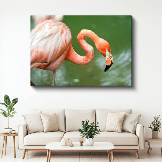 Pembe Flamingo - Zarif Duruşlu Su Kuşu Kanvas Tablo