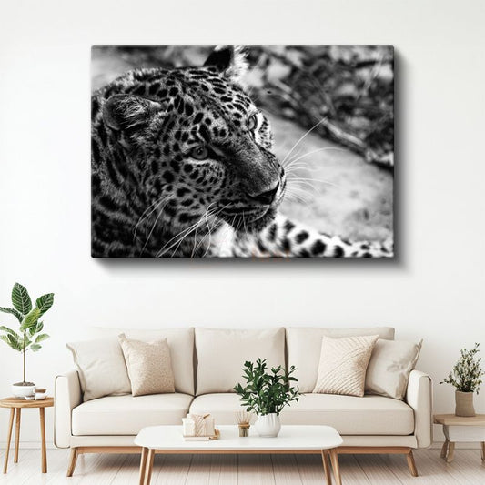 Leopar Portresi - Siyah Beyaz Vahşi Kedi Kanvas Tablo