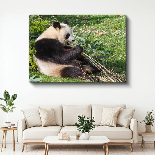 Bambu Keyfi - Dinlenen Panda Kanvas Tablo