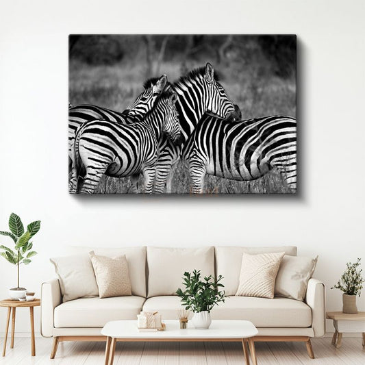 Zebra Sürüsü - Savanada Siyah Beyaz Uyum Kanvas Tablo