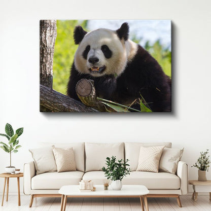 Meraklı Panda - Ağaç Dalında Sevimli Dostumuz Kanvas Tablo