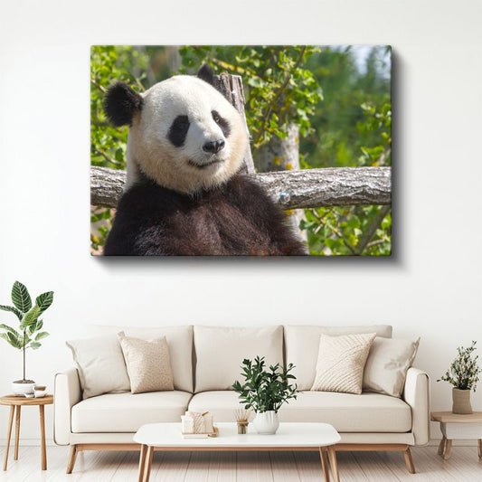 Düşünceli Panda - Ağaç Dalında Huzurlu Anlar Kanvas Tablo