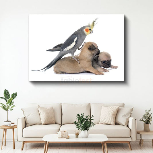 Dostluk Zamanı - Sultan Papağanı ve Yavru Köpekler Kanvas Tablo