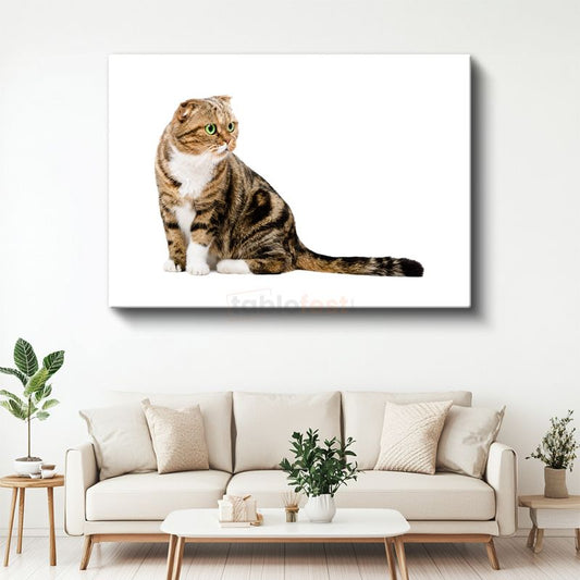 Yeşil Gözlü Kedi - Çizgili Tüylerin Asaleti Kanvas Tablo