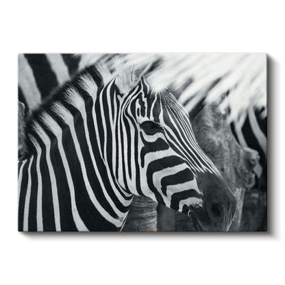 Zebra Deseni - Çizgilerin Mükemmel Uyumu Kanvas Tablo