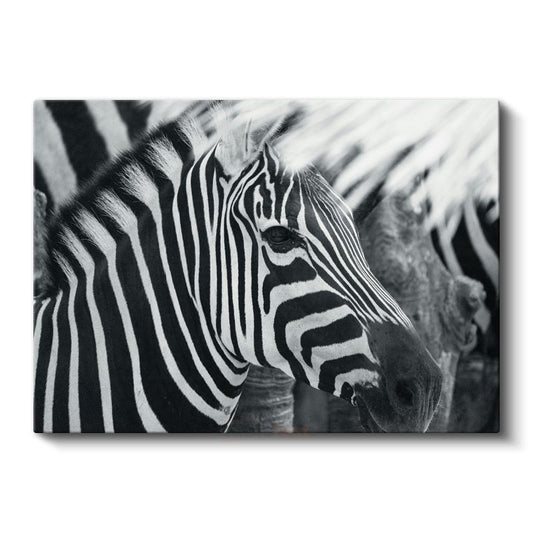 Zebra Deseni - Çizgilerin Mükemmel Uyumu Kanvas Tablo