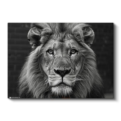 Aslan Portresi - Siyah Beyaz Asaletin Yüzü Kanvas Tablo