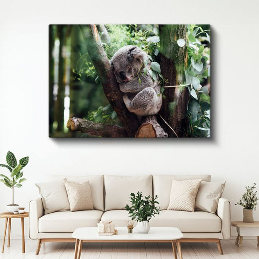 Uyuyan Koala - Ağaç Dalında Huzurlu Anlar Kanvas Tablo