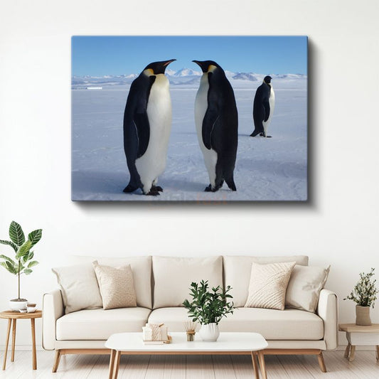 İmparator Penguenler - Kutup Buluşması Kanvas Tablo