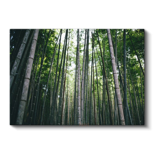 Bambu Ormanı - Göğe Uzanan Yeşil Sütunlar Kanvas Tablo