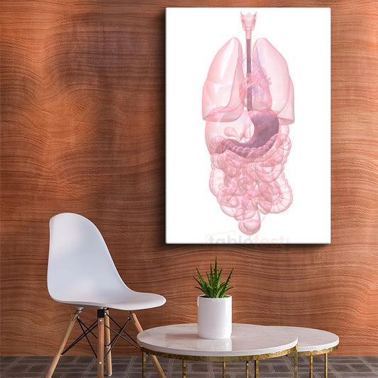 İç Hastalıkları Uzmanı - İnsan Anatomisi Kanvas Tablo