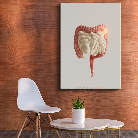 Gastroenterolog - Sindirim Sistemi Anatomisi Kanvas Tablo