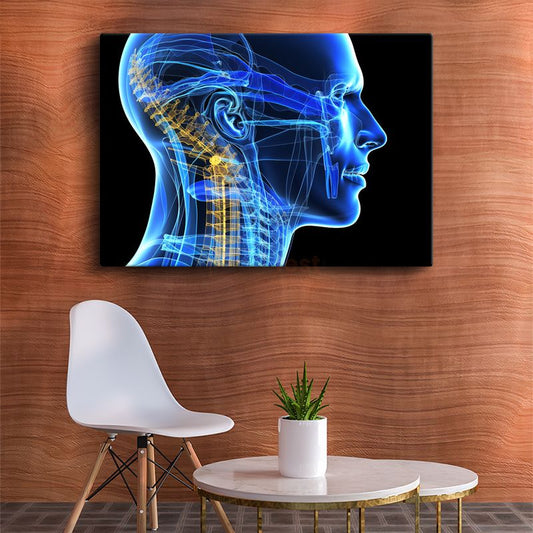 Nöroloji Uzmanı - Sinir Sistemi Anatomisi Kanvas Tablo