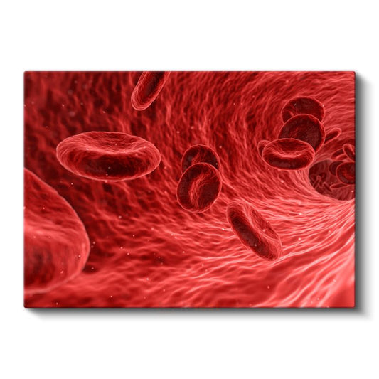 Hematoloji Uzmanı - Kan Hücreleri İncelemesi Kanvas Tablo