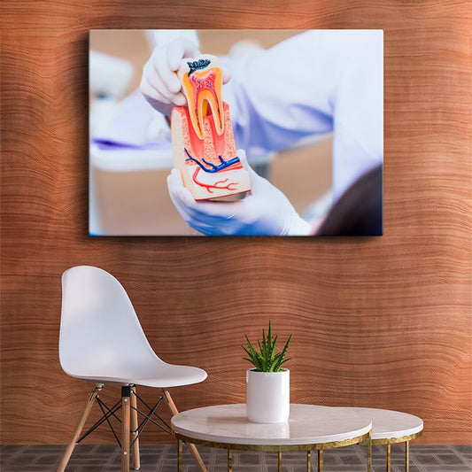 Diş Hekimi - Diş Anatomisi Eğitimi Kanvas Tablo