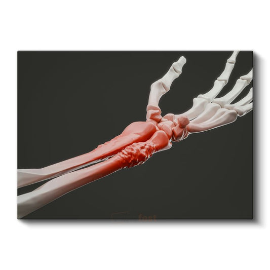 Ortopedi Uzmanı - Kemik Anatomisi Kanvas Tablo