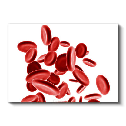 Hematoloji Uzmanı - Kan Hücreleri Kanvas Tablo