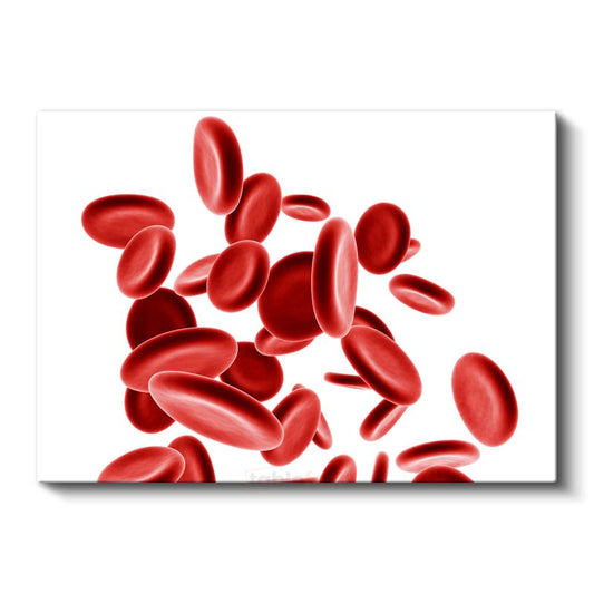 Hematoloji Uzmanı - Kan Hücreleri Kanvas Tablo