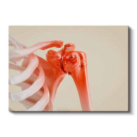 Ortopedi Uzmanı - Omuz Anatomisi ve Tedavi Kanvas Tablo
