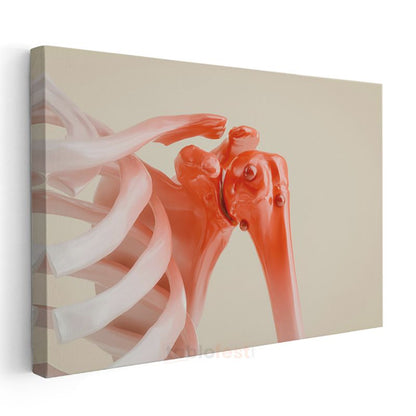 Ortopedi Uzmanı - Omuz Anatomisi ve Tedavi Kanvas Tablo