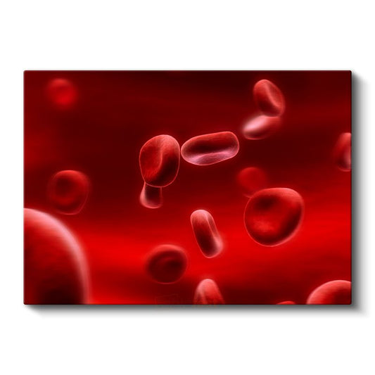 Hematoloji Uzmanı - Kan Hücreleri Analizi ve İncelemesi Kanvas Tablo