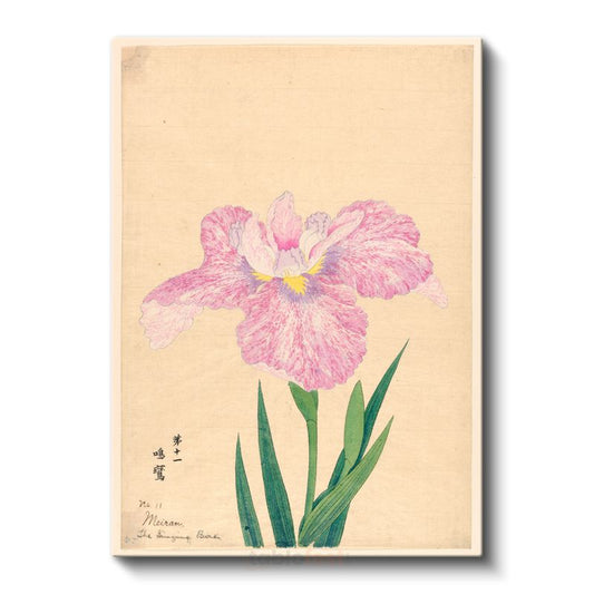 Ohara Koson - Pembe İris Çiçeği Japon Tarzı İllüstrasyon Kanvas Tablo